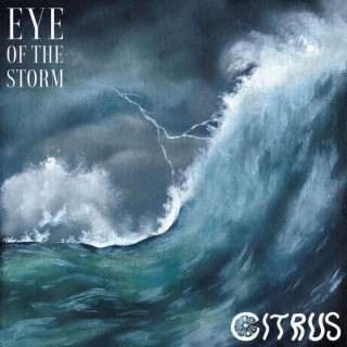 Eye of the Storm lyrics | Boomplay Music