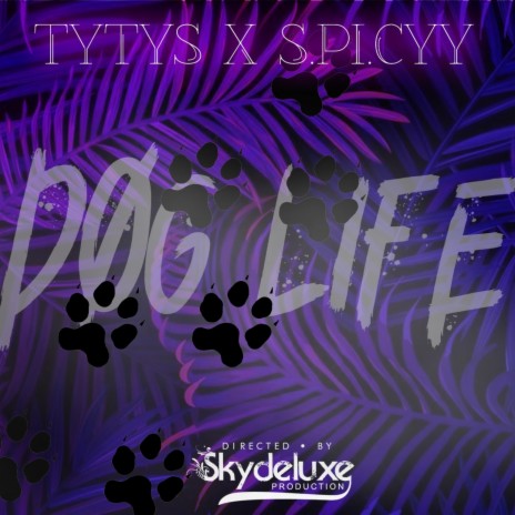 Dog Life ft. S.PI.CYY | Boomplay Music