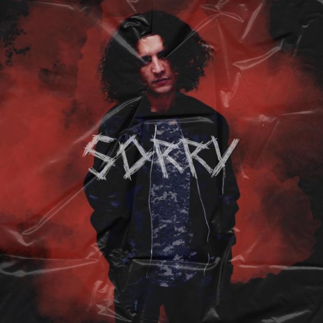 Sorry ft. Zenotic | Boomplay Music