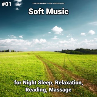 #01 Soft Music for Night Sleep, Relaxation, Reading, Massage