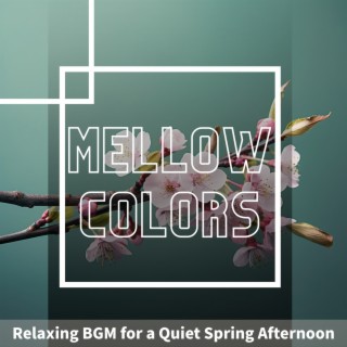 Relaxing BGM for a Quiet Spring Afternoon