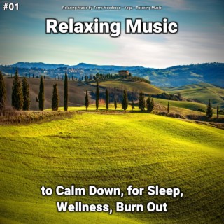 #01 Relaxing Music to Calm Down, for Sleep, Wellness, Burn Out