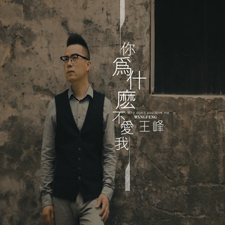 你为什么不爱我 (伴奏) lyrics | Boomplay Music