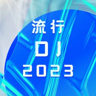 流行DJ2023