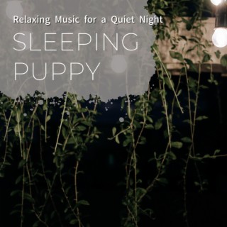 Relaxing Music for a Quiet Night