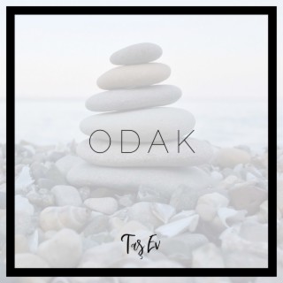 Odak