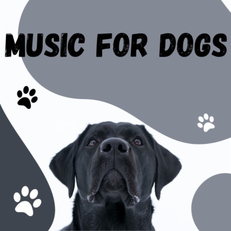 Dark Night ft. Music For Dogs Peace, Calm Pets Music Academy & Relaxing Puppy Music | Boomplay Music