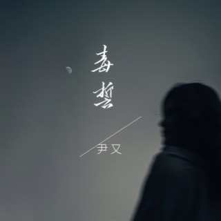 毒誓 (DJ九零版) lyrics | Boomplay Music