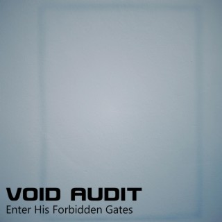 Void Audit