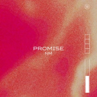 Promise