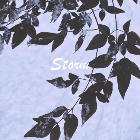 Storm ft. MiMi | Boomplay Music