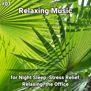 #01 Relaxing Music for Night Sleep, Stress Relief, Relaxing, the Office