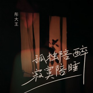 孤独陪醉寂寞陪睡 (伴奏) lyrics | Boomplay Music