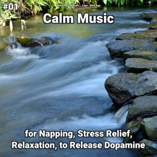 #01 Calm Music for Napping, Stress Relief, Relaxation, to Release Dopamine