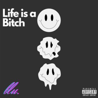 Life is a Bitch