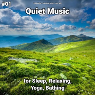 #01 Quiet Music for Sleep, Relaxing, Yoga, Bathing