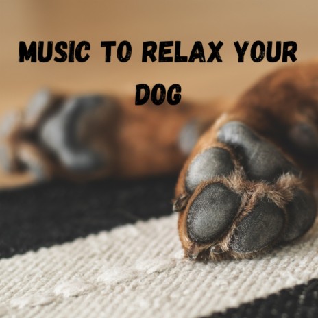 Sleepy Doggy ft. Music For Dogs Peace, Relaxing Puppy Music & Calm Pets Music Academy