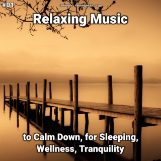 #01 Relaxing Music to Calm Down, for Sleeping, Wellness, Tranquility
