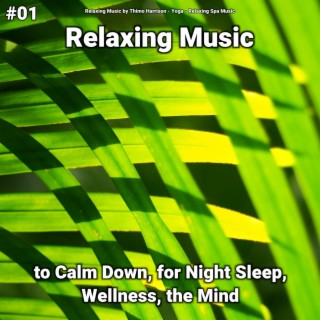 #01 Relaxing Music to Calm Down, for Night Sleep, Wellness, the Mind