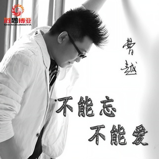 不能忘不能爱 lyrics | Boomplay Music