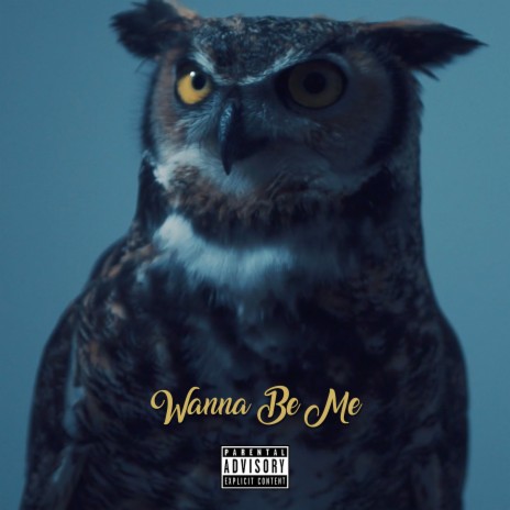 Wanna Be Me | Boomplay Music