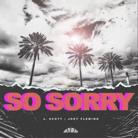 So Sorry ft. Joey Fleming | Boomplay Music