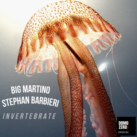 Invertebrate ft. Stephan Barbieri | Boomplay Music