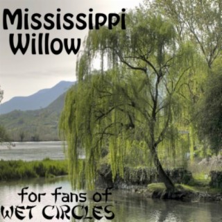 Mississippi Willow