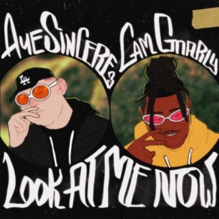 Look at Me Now (feat. Cam Gnarly)