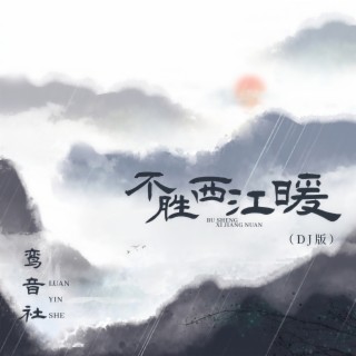 不胜西江暖 (DJ版伴奏) lyrics | Boomplay Music