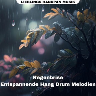 Regenbrise: Entspannende Hang Drum Melodien