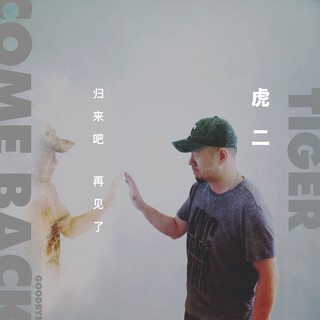 归来吧 再见了 (伴奏) lyrics | Boomplay Music