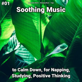#01 Soothing Music to Calm Down, for Napping, Studying, Positive Thinking