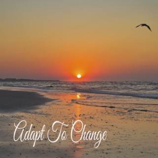 Adapt To Change