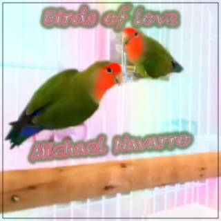 Birds of love