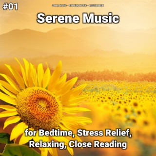 #01 Serene Music for Bedtime, Stress Relief, Relaxing, Close Reading