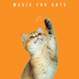 Calming Songs For Cats