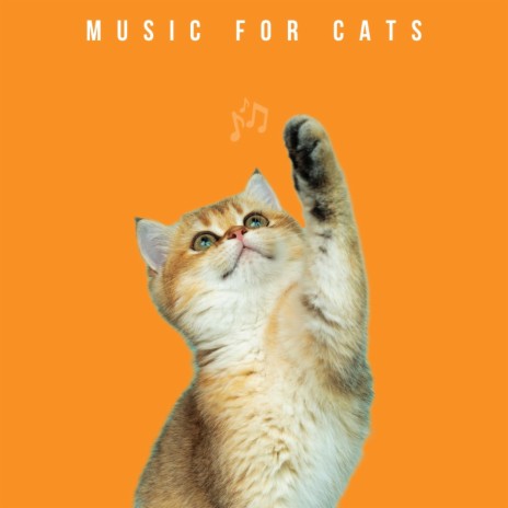 Calming Cat Music