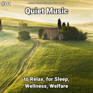 #01 Quiet Music to Relax, for Sleep, Wellness, Welfare