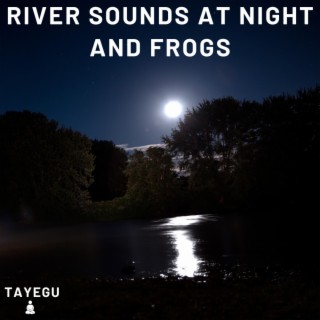 River Sounds at Night and Frogs 1 Hour Relaxing Nature Ambience Yoga Meditation Sounds For Sleeping Relaxation or Studying