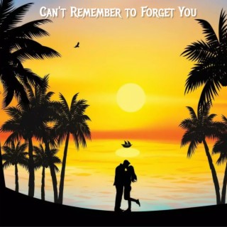 Can't Remember to Forget You