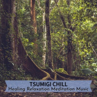 Healing Relaxation Meditation Music