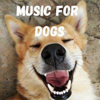 Music For Dogs (Vol.30)