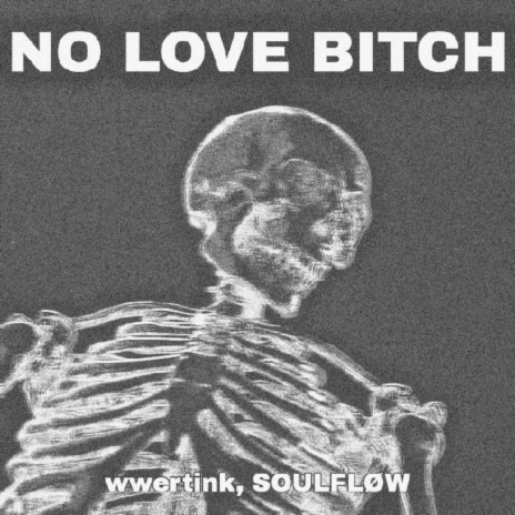 NO LOVE BITCH ft. SOULFLØW | Boomplay Music