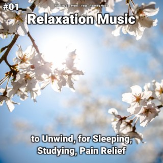 #01 Relaxation Music to Unwind, for Sleeping, Studying, Pain Relief