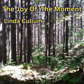 The Joy Of The Moment lyrics | Boomplay Music