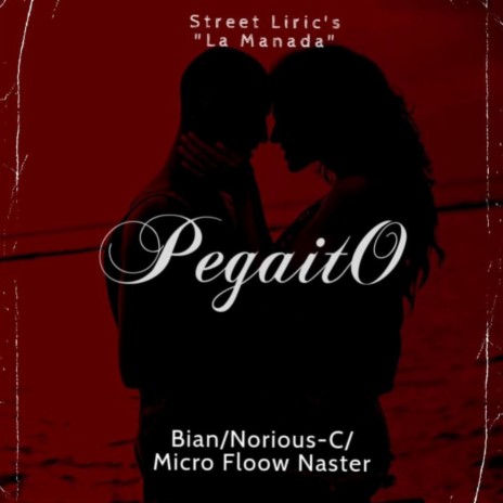 Pegaito ft. Norious c & Micro Floow Naster | Boomplay Music