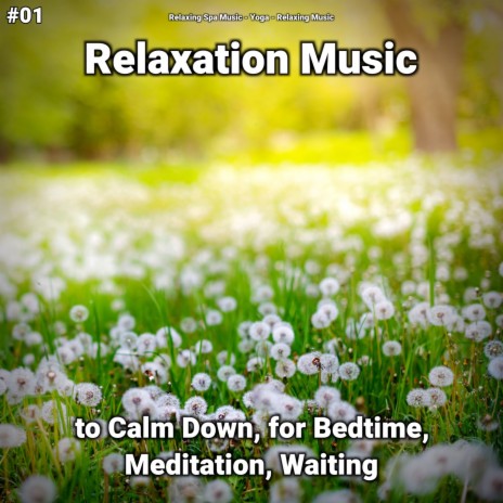 Relaxing Music ft. Relaxing Music & Relaxing Spa Music | Boomplay Music