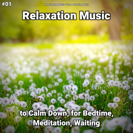 Reiki Meditation ft. Relaxing Music & Relaxing Spa Music