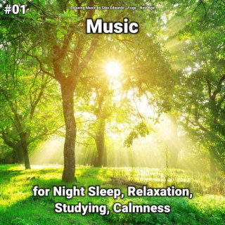 #01 Music for Night Sleep, Relaxation, Studying, Calmness